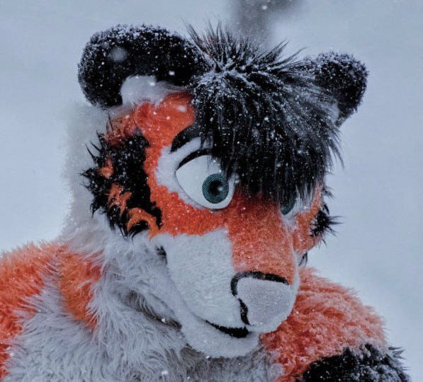 Thesweetiger