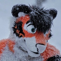 Sweet Tiger