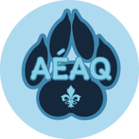 Board Meeting December 2025